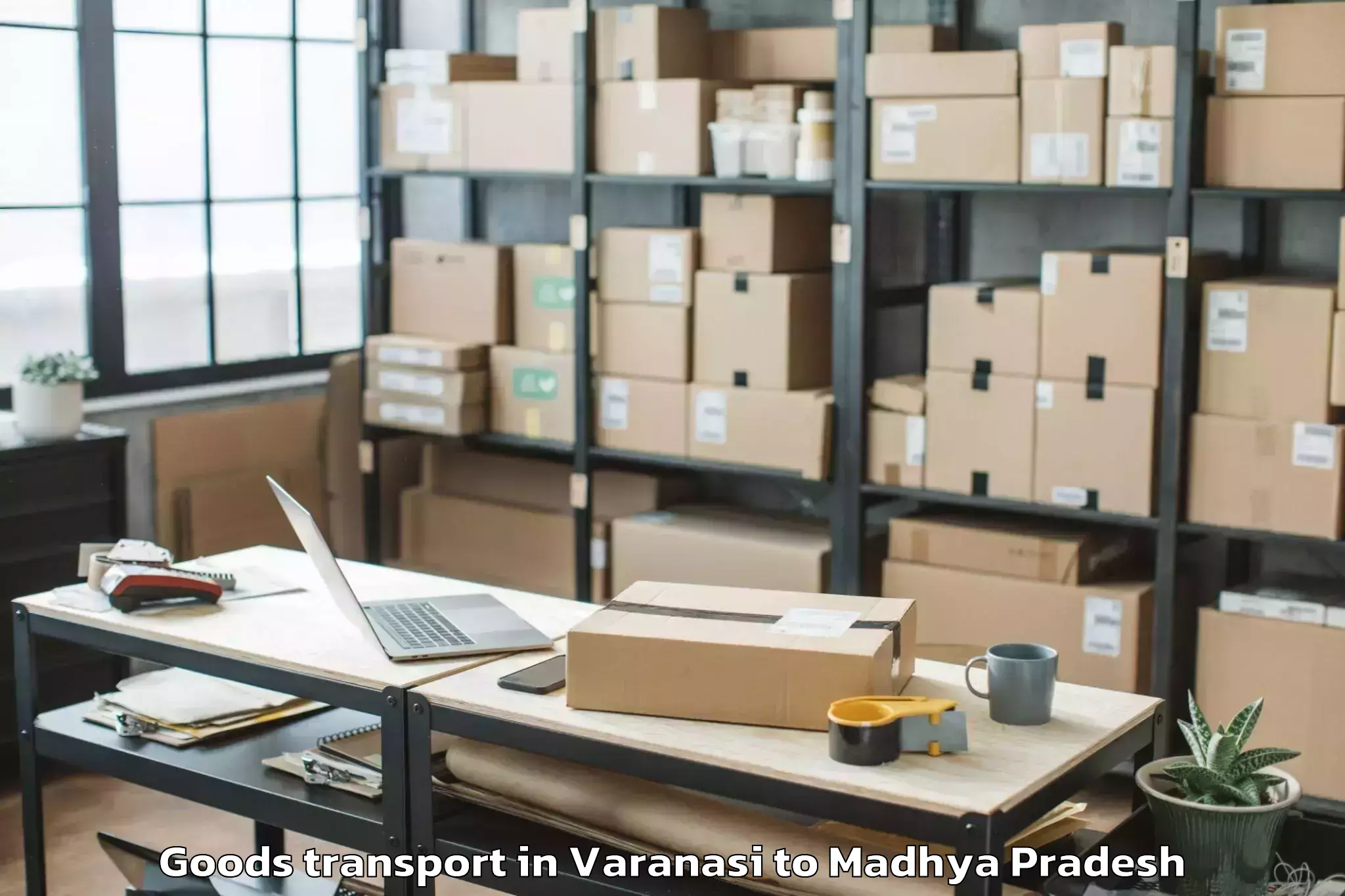 Trusted Varanasi to Dhemarkheda Goods Transport